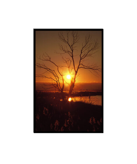 Morning Sunrise