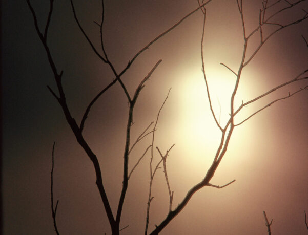 Glowing Sunrise