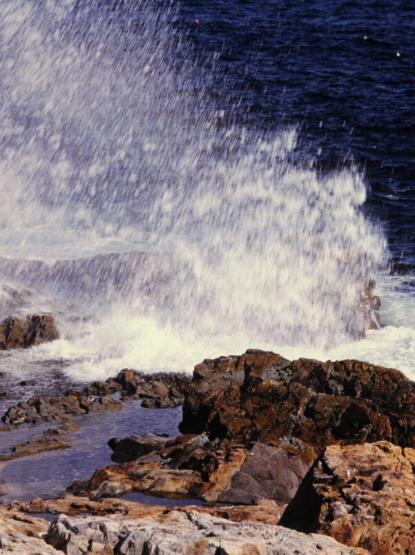 Raging Waters